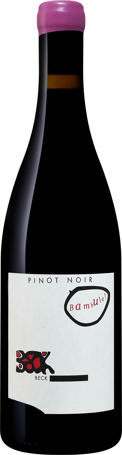 Бамбуле Пино Нуар Бургенланд Юдит Бек 2021 0.75 л